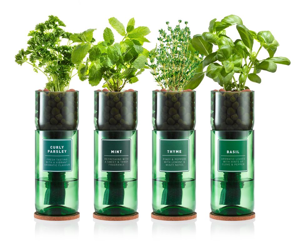 Green Thumbz Jardinière Herbes Aromatiques avec Poignée en Cuir